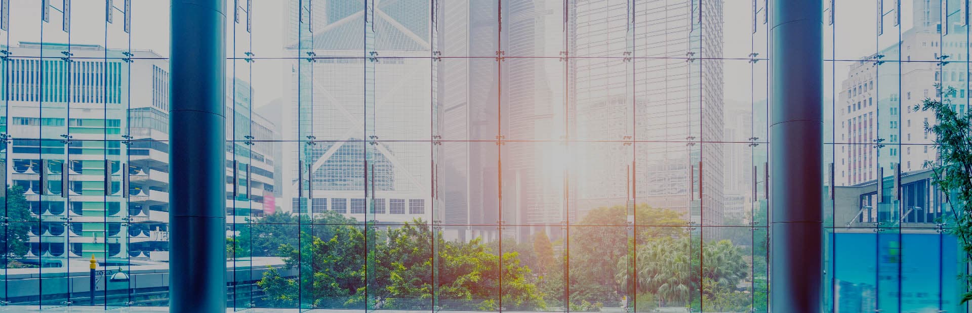 Modern commercial cleaning in Adelaide